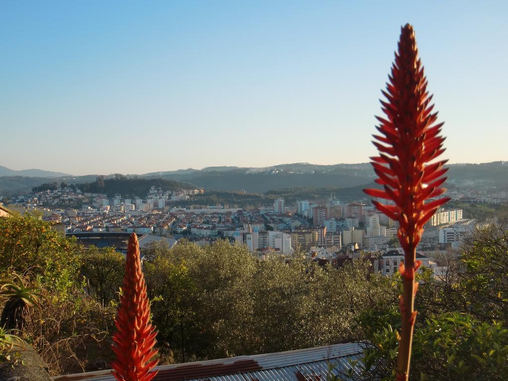 Csi Coimbra & Guest House - Student Accommodation Экстерьер фото